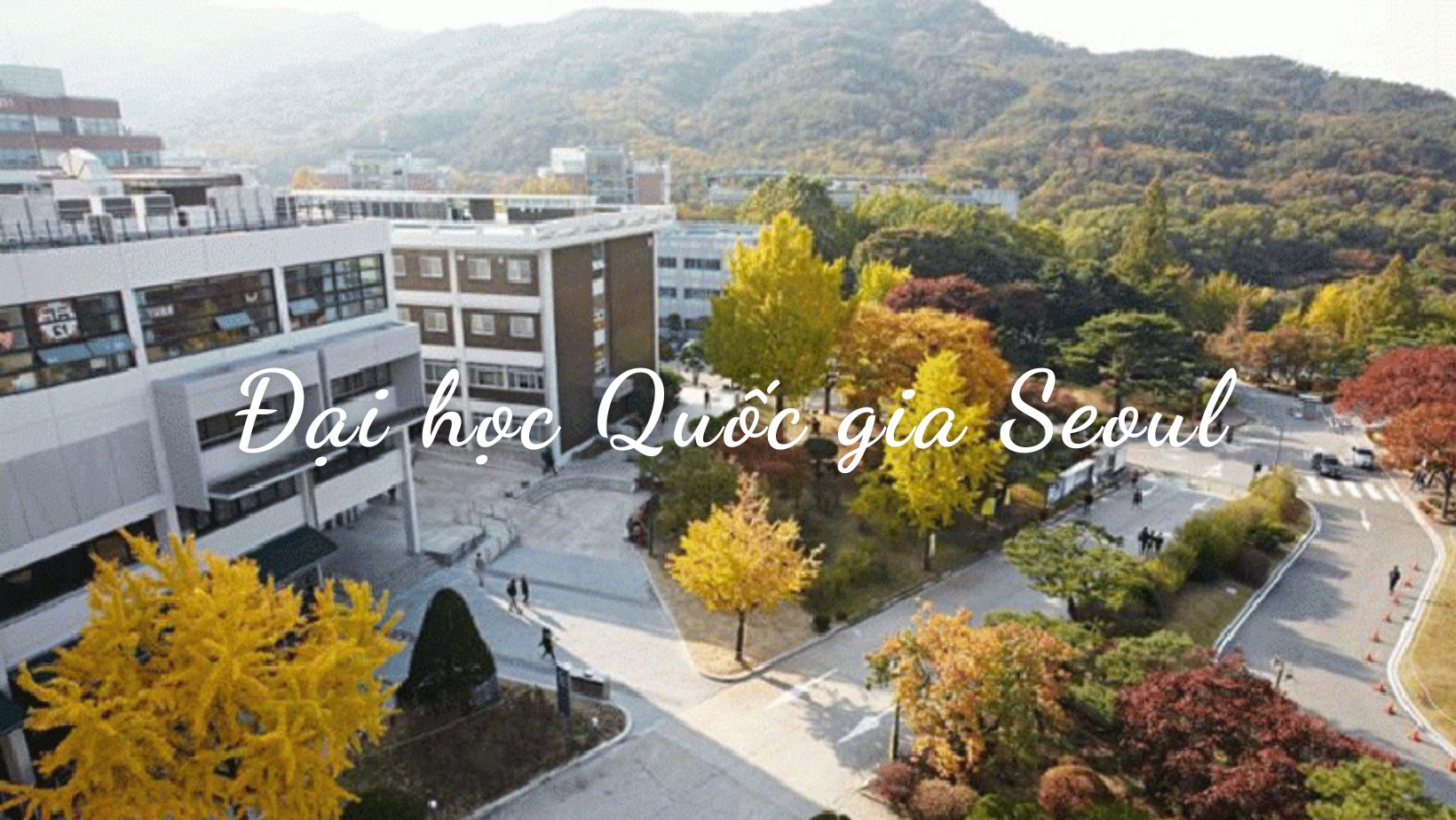 đại học quốc gia